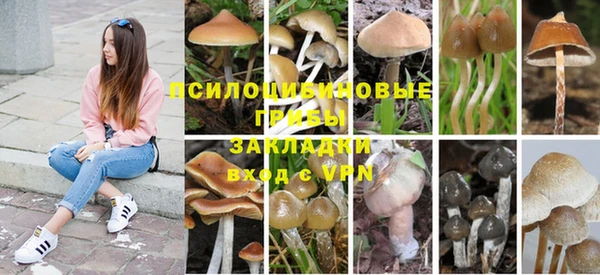 кокаин колумбия Алзамай