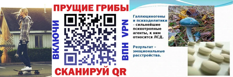 Галлюциногенные грибы Magic Shrooms  hydra как зайти  Еманжелинск  наркота 