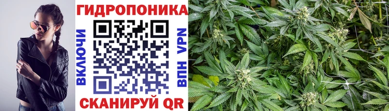 Конопля план  хочу   Еманжелинск 